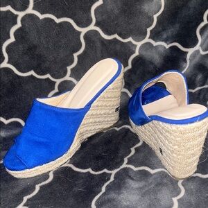 Elegant Blue Wedge Sandals